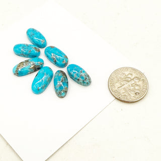 High-grade Persian Turquoise Cabochon Suites