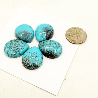 High-grade Persian Turquoise Cabochon Suites