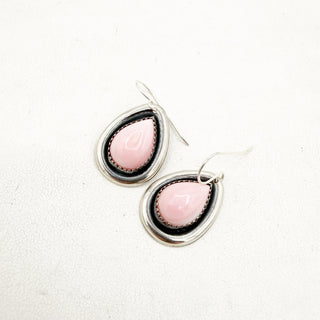 Pink Conch Treasure Trove