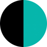 Polychrome Webbed Blackjack Turquoise